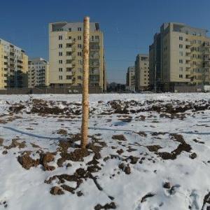 Osiedle Zawiszy w zimowej scenerii